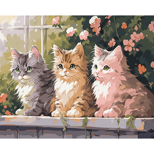 Cat Painting By Number 2
