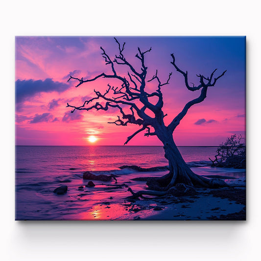 Sunset Trees Painting By Number 1