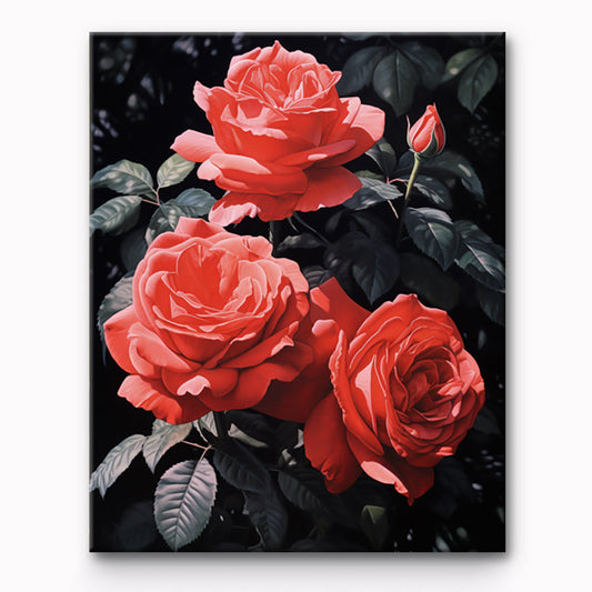 Rose Flower Painting By Number 1