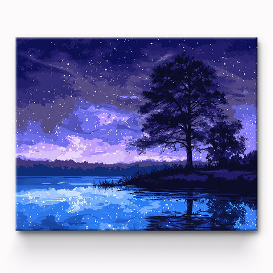 Curtain Of Night Painting By Number 1