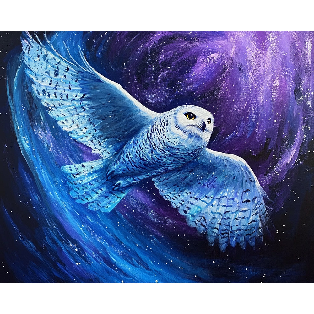 Owl Painting By Number 2