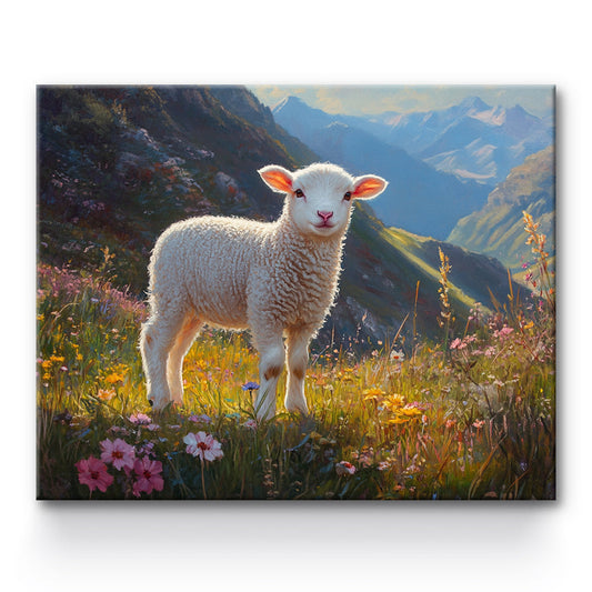 Sheep Painting By Number 1