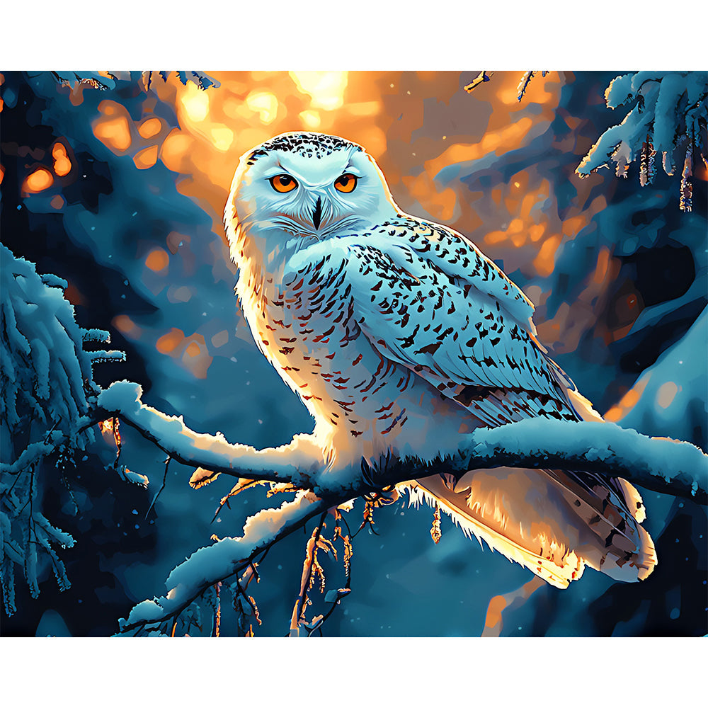 Owl Painting By Number 2