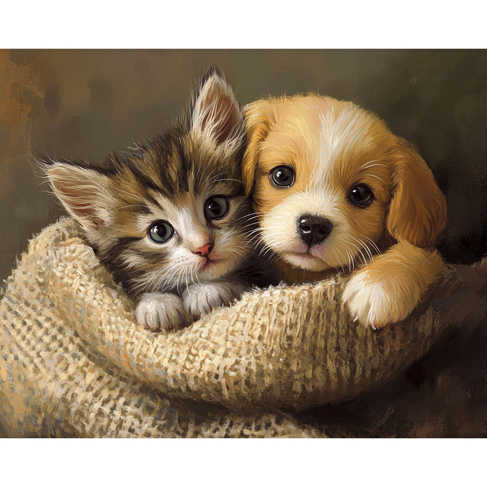 Cat And Dog Painting By Number 2