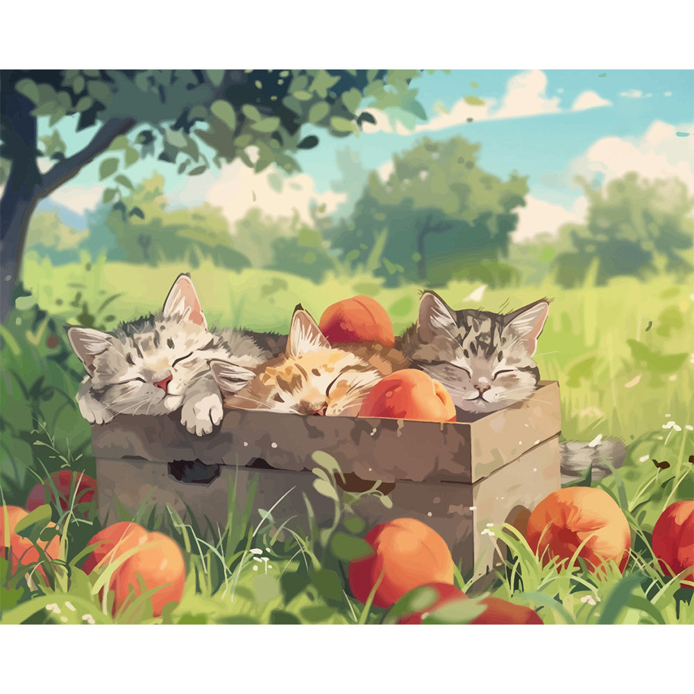 Sleeping Cat Painting By Number 2