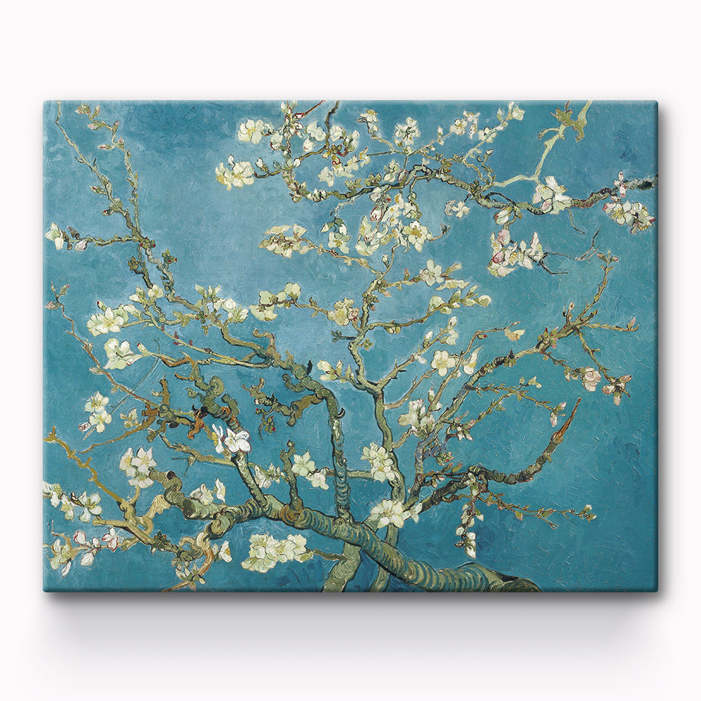 Mandelbl¨¹te Van Goghist Painting By Number 1